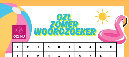 Oplossing zomerpuzzel